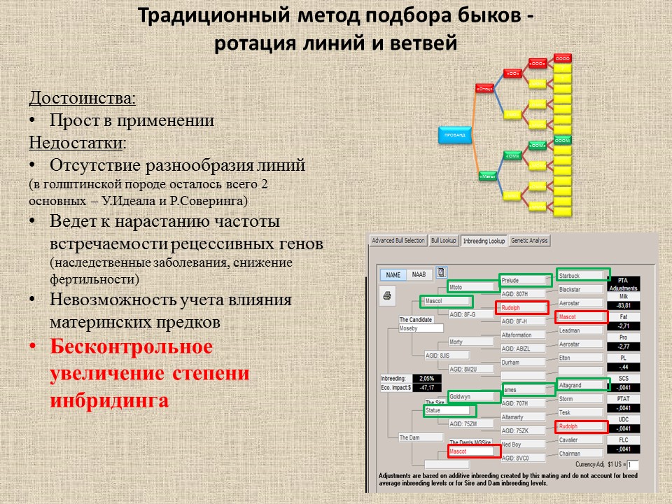 Цель ротации. План ротации. Схемы подбора Быков-производителей. Схема для урока ротации станций. Групповой подбор в скотоводстве.